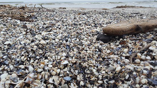 Sandskulpturen
